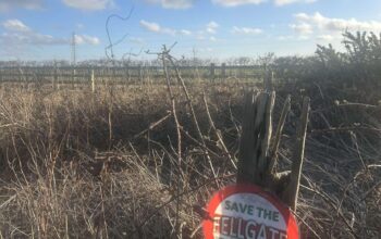 Fellgate greenbelt area with sign of the pressure group strapped onto a tree branch