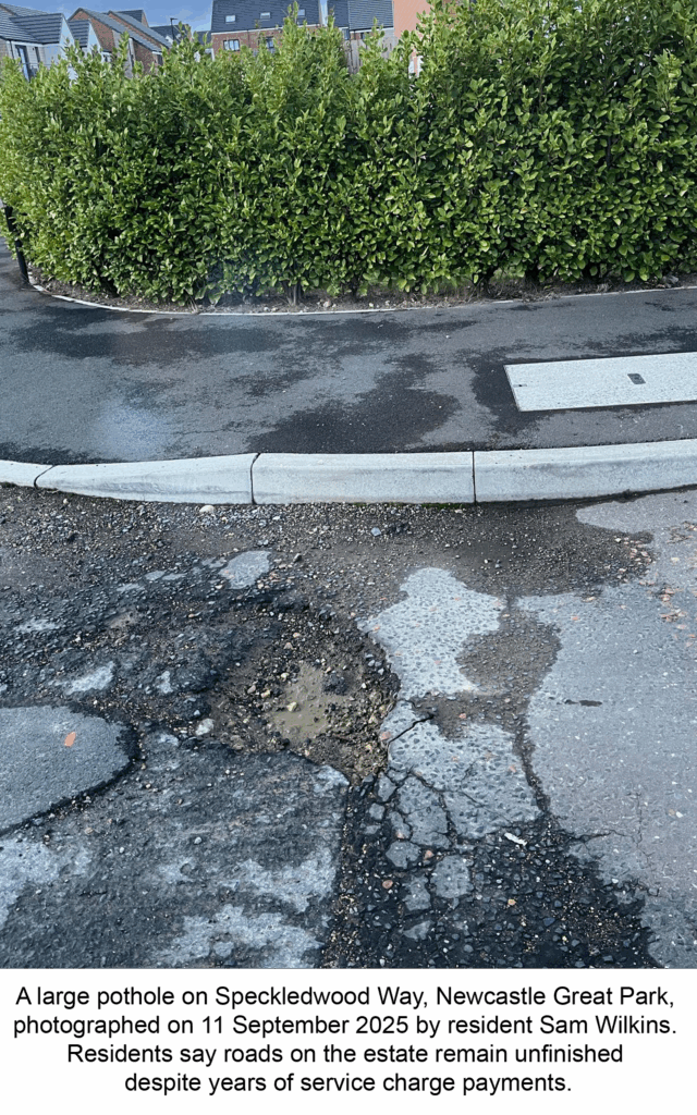 This image has an empty alt attribute; its file name is Pothole-Captioned-640x1024.png